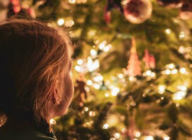 Young child looking at large indoor Christmas tree
