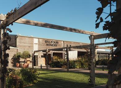 Paint and Sip Workshop at Balfour Winery, Kent