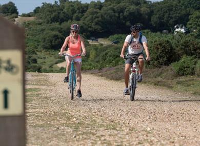 Bike Hire to explore the New Forest National Park