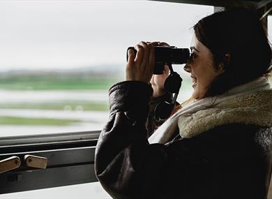 Person with Binoculars looks out from a wildlife hide