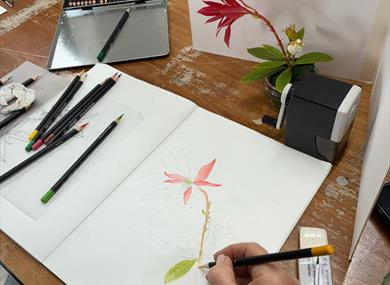 Botanical Illustration Workshop