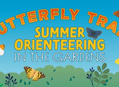Summer Butterfly Trail at Waterperry Gardens