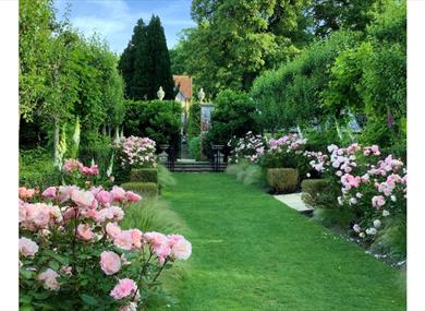 Lawn pathway lined with pink roses and lush greenery in a formal garden at Pashley Manor Gardens.