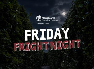 Dark spooky maze with Friday Fright Night over the top