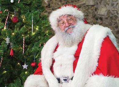 Father Christmas at The Great Hall