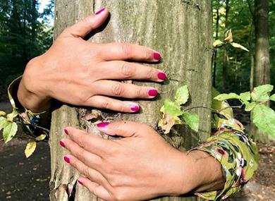 Forest Bathing 