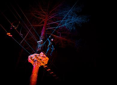 Go Ape Bedgebury Sundown Adventures