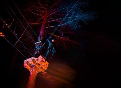 Go Ape Sundown Adventures at Moors Valley Country Park