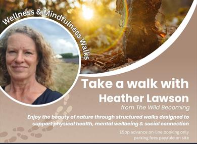 Wellness Walks poster