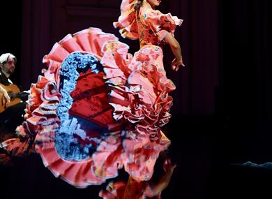 Rebeca Ortega Flamenco: Beyond Borders