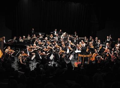 Isle of Wight Steam Railway, IWSO Proms, Orchestra image
