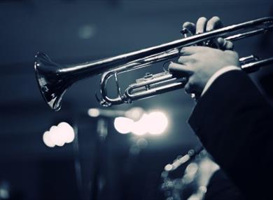Jazz in the Vines at Oaken Grove Vineyard