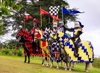 Jousting at Hever Castle & Gardens