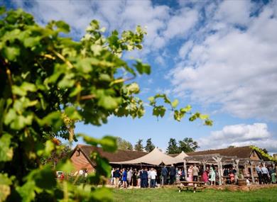 Oaken Grove Vineyard Terrace Henley on Thames