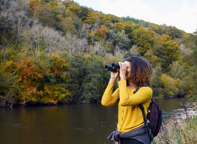 Woman with Binoculars at WWT Arundel