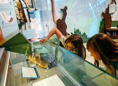 Two children looking into a Museum case