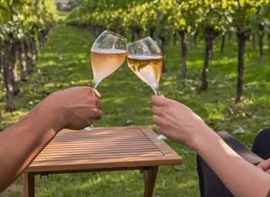 Roebuck Estate Vineyard in West Sussex