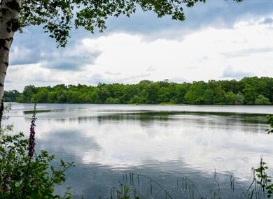 Summer at Sevenoaks 