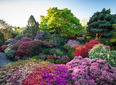 Leonardslee Gardens