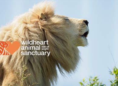 Isle of Wight, Wildheart Animal Sanctuary, Things to do, Events, Sunrise Breakfasts