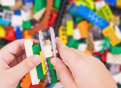 The Powell Cotton Museum Bricktacular Event