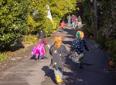Halloween Trail at Leonardslee Lakes and Gardens in West Sussex