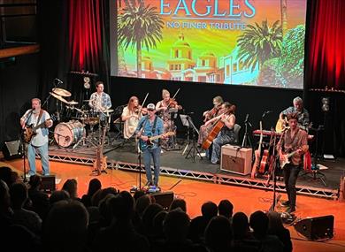 Image: Band Alter Eagles on stage 