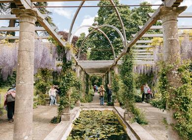 West Dean Gardens Pergola