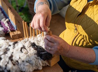 Wool