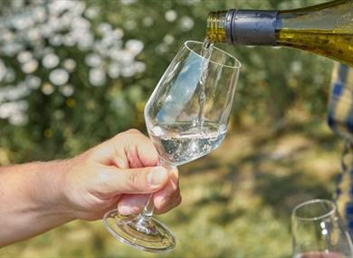 Silverhand Estate Guided Wine Tasting