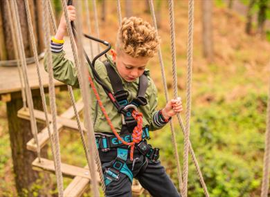 Child on high ropes at Go Ape Black Park - Summer Adventures in the great outdoors
