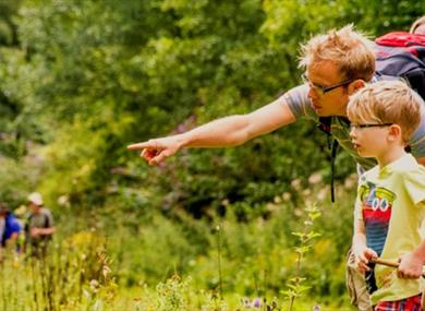 Go Wild and Wilder Holiday summer club