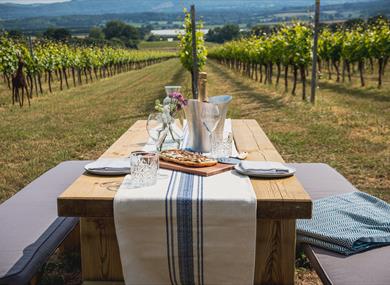 A table with pizza and wine in a vineyard