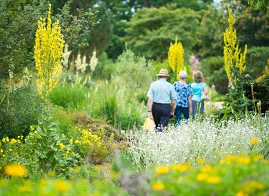 The Savill Garden