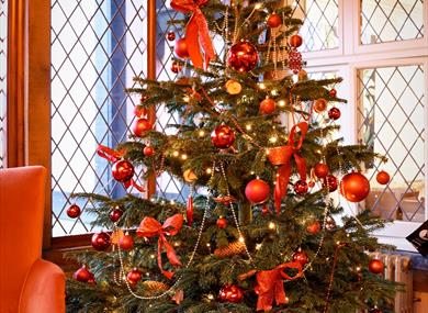 Christmas tree indoors at Leonardslee Lakes and Gardens