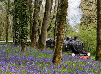 Isle of Wight, Steam Railway, Things to Do, Mothers Day events