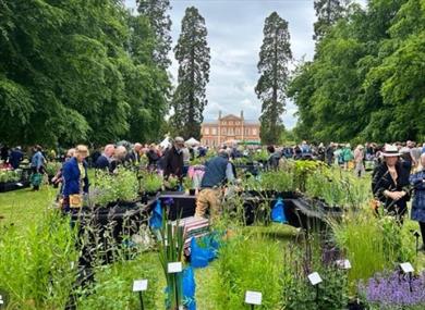 Rare breed plant fair at Kingston Bagpuize House and Gardens