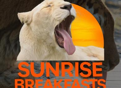 Sunrise Breakfast at Wildheart Animal Sanctuary on Isle of Wight 