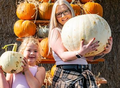 Pumpkin Pride at Tapnell Farm Park at Halloween event, Isle of Wight, What's On