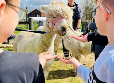 Aldingbourne Country Centre