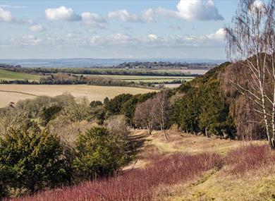 Watlington Hill, Oxfordshire