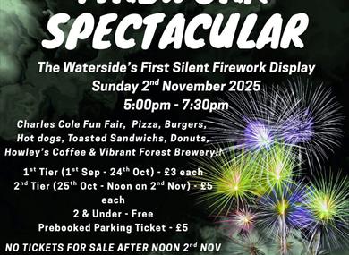 Fawley Firework Spectacular