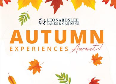Autumn workshops