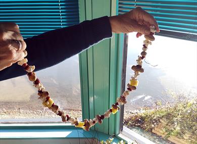 Feed the Birds Workshop