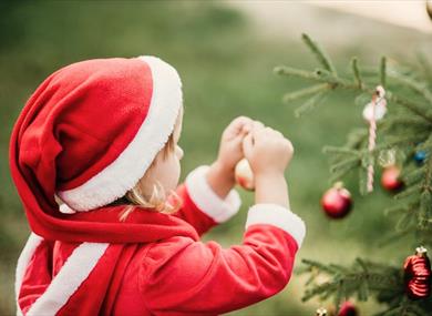 <img src="christmas.jpg" alt="">