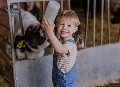 Longdown Activity Farm