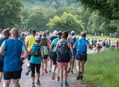 Runners at Ashdown Forest 10 & 5 Mile