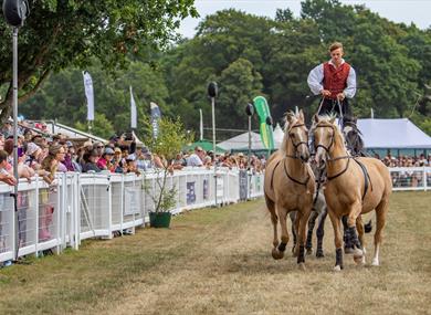 The New Forest and Hampshire County Show