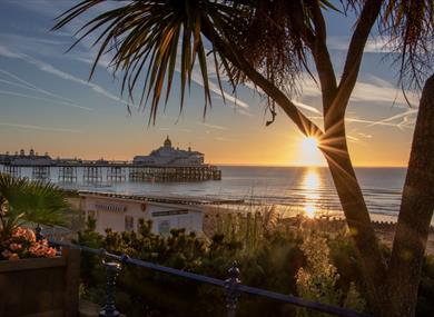 Eastbourne Beach Sunrise