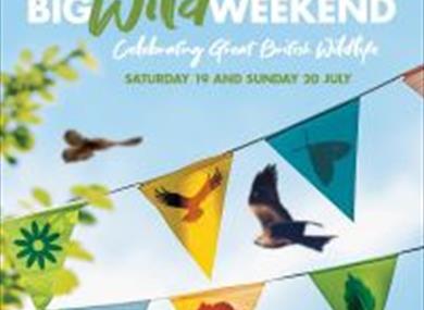 pic of insects on bunting